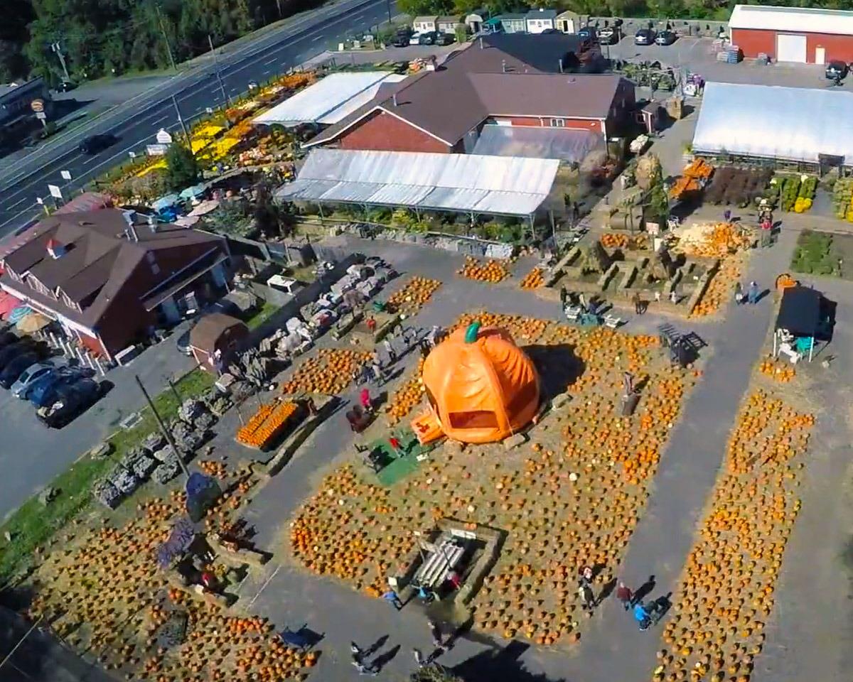 Twin Pond Farm overhead shot