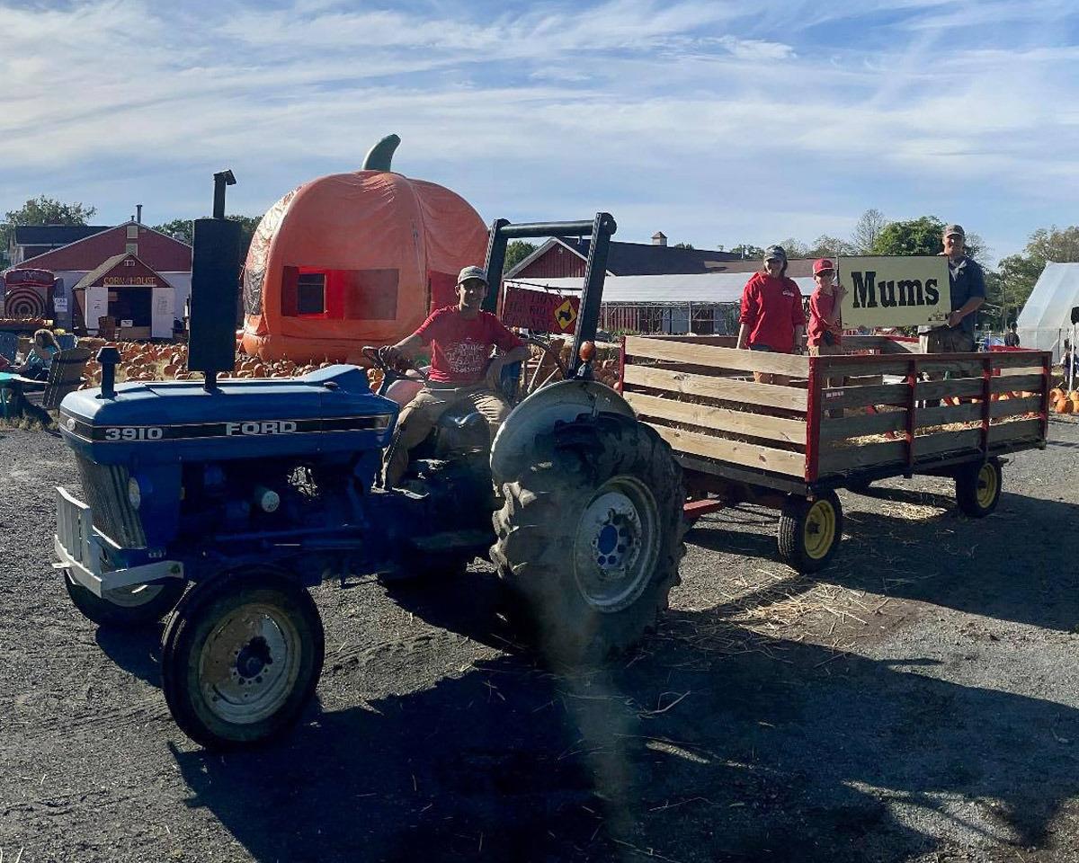 Twin Pond Farm tractor