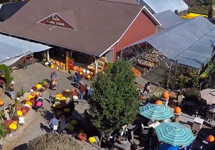 Twin Pond Farm overhead shot